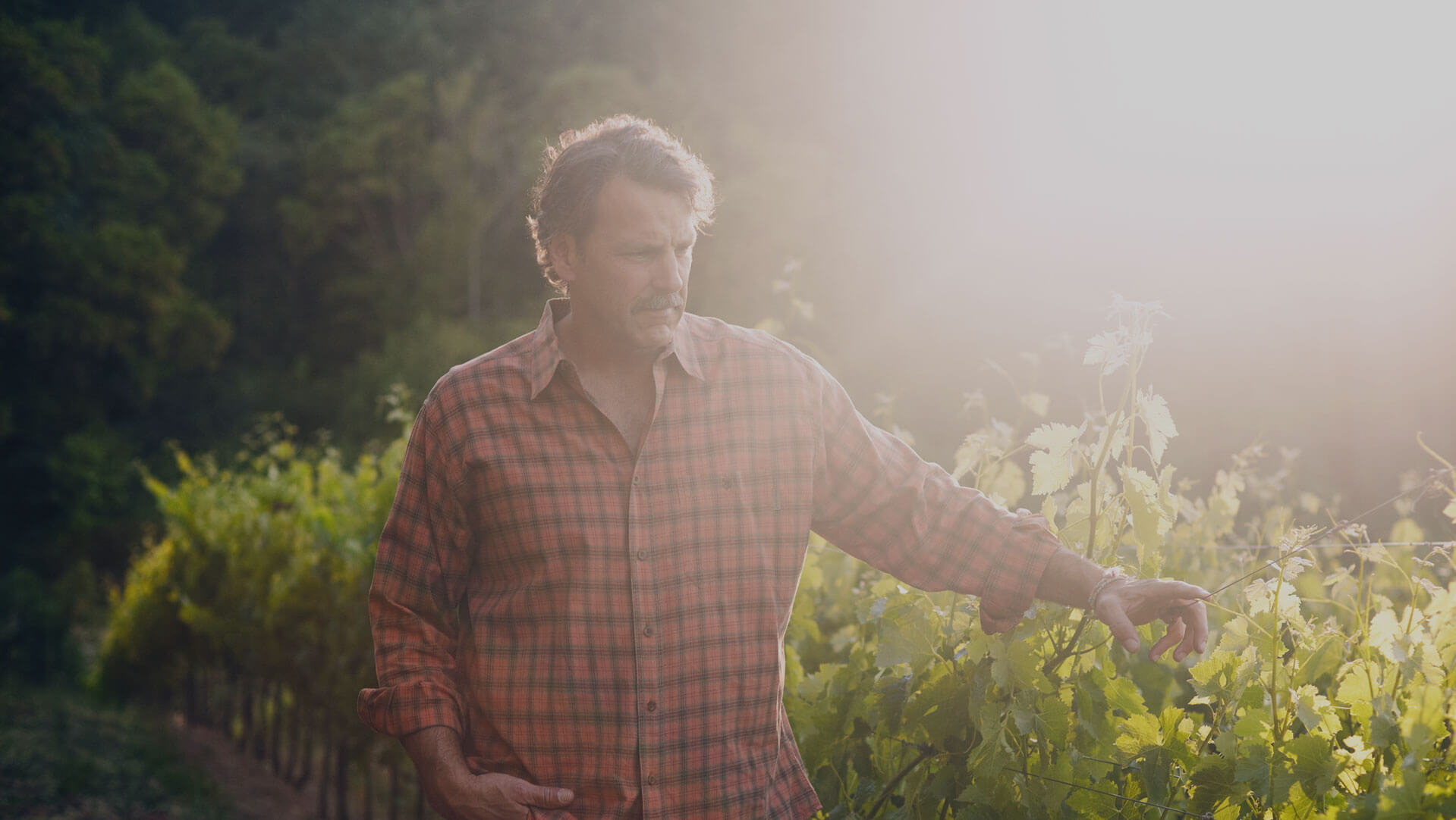 Winemaker Chris Carpenter